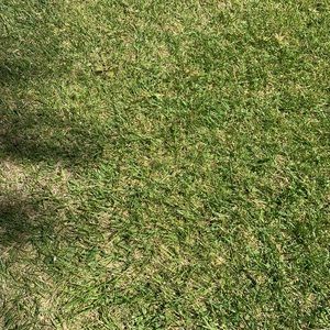 Meet your Posher, Jared